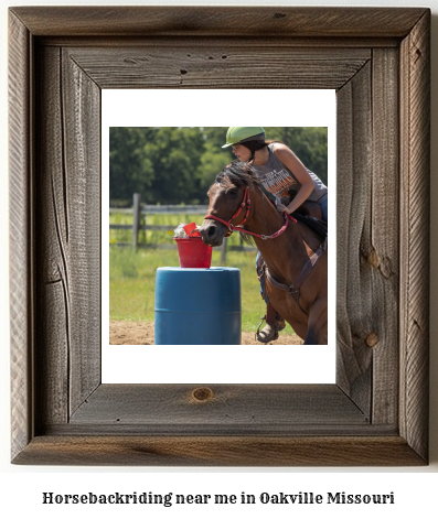 horseback riding near me in Oakville, Missouri